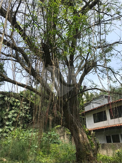 Venda Terreno São Paulo Vila Andrade REO1057141 4