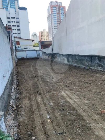 Foto REO1057239
