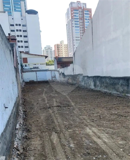 Foto REO1057239