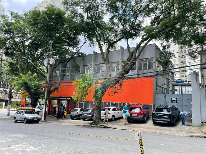 Foto REO1057282