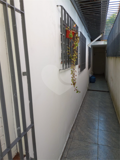 Foto REO1057283