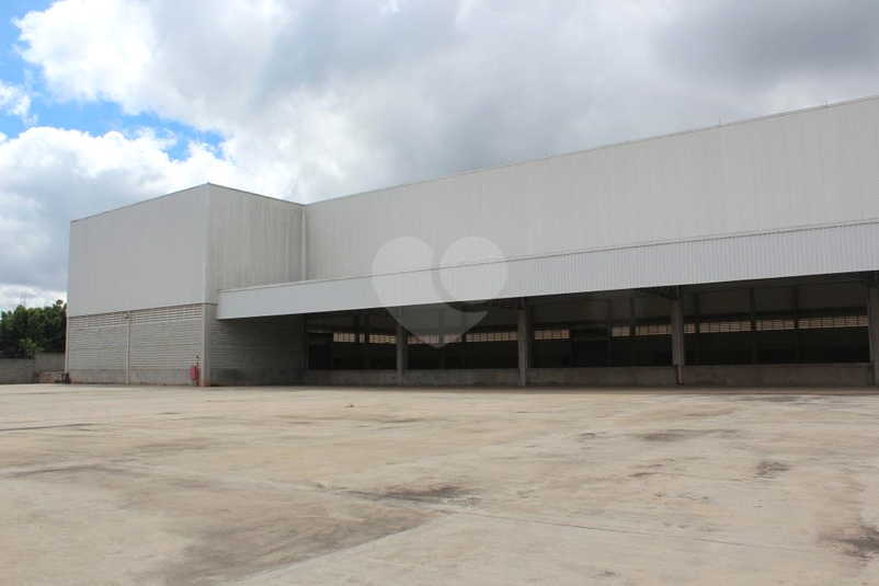 Foto REO1057288
