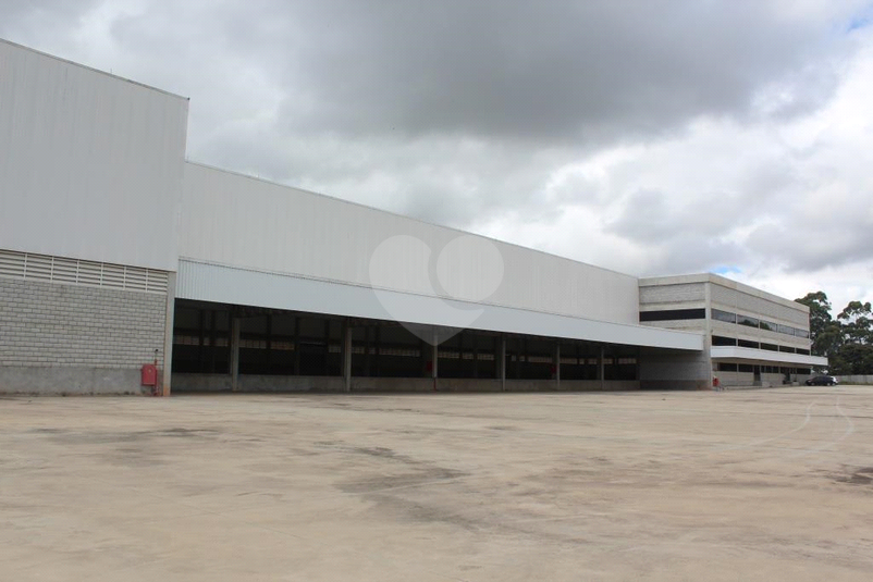 Foto REO1057288