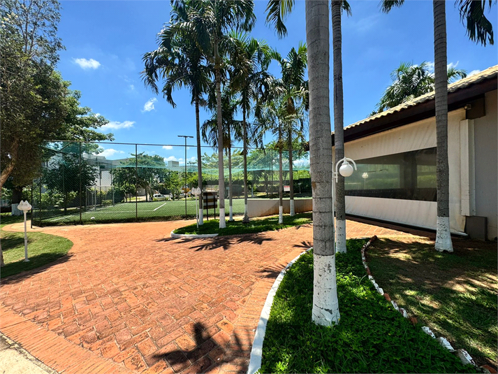 Foto REO1057304