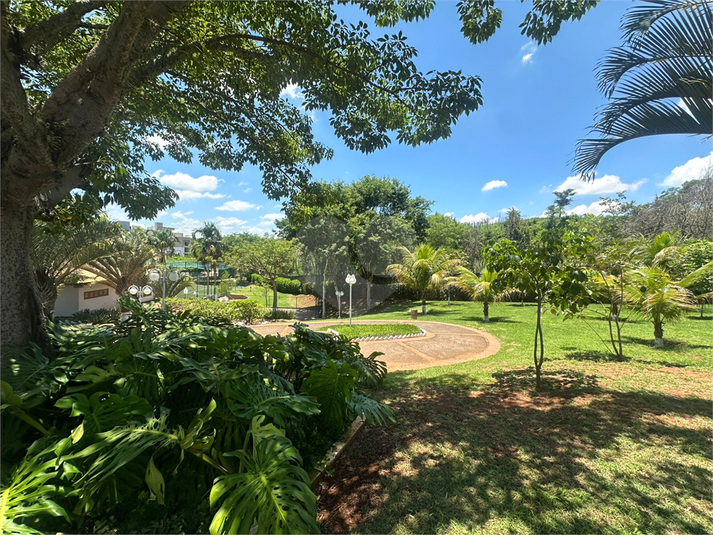 Foto REO1057304