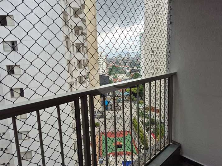 Foto REO1057367