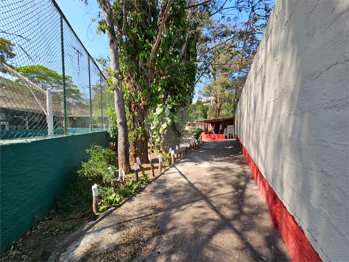 Foto REO1057375