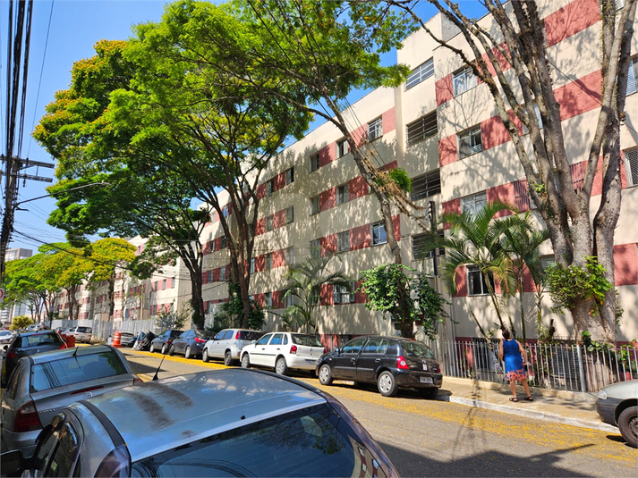 Foto REO1057375