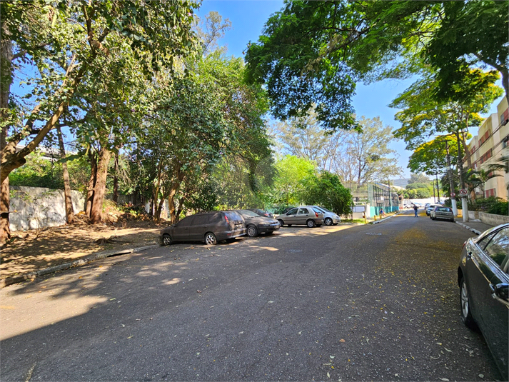 Foto REO1057375