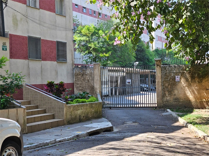 Foto REO1057375