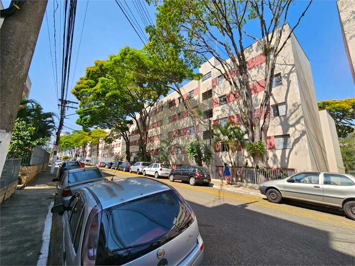 Foto REO1057375