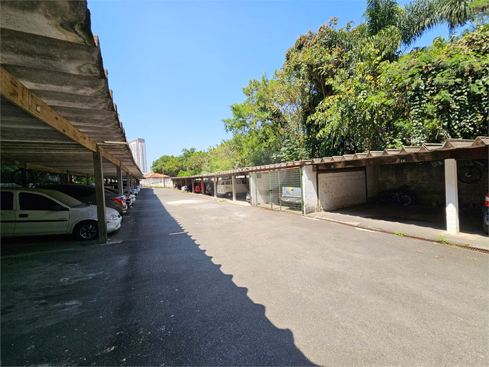 Foto REO1057375