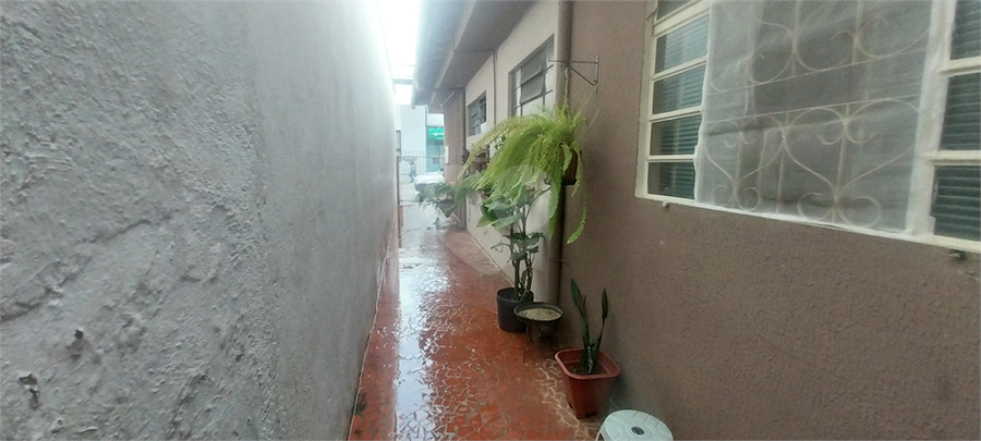 Foto REO1057378