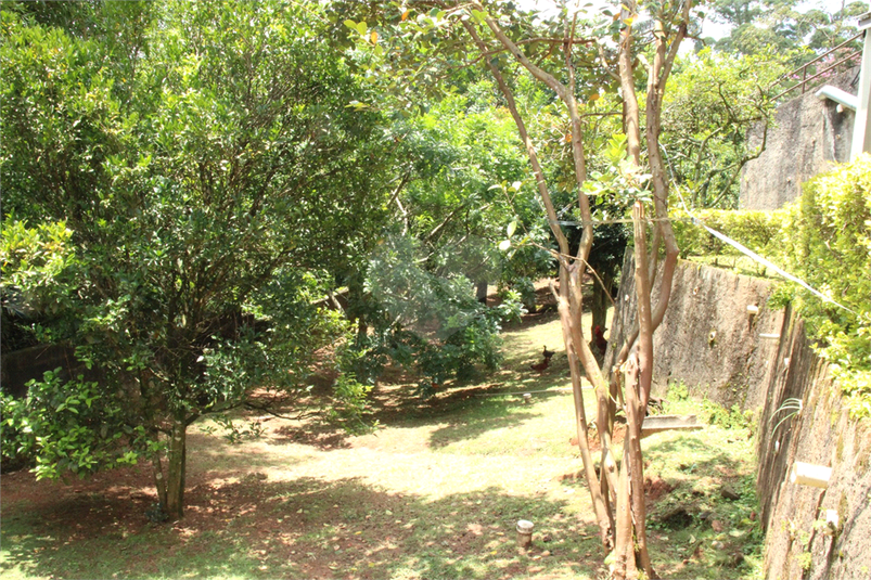 Foto REO1057469