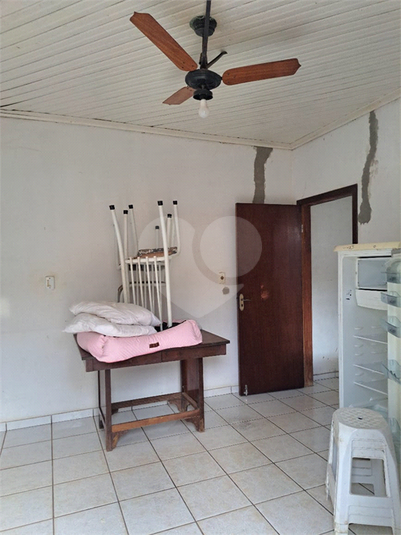 Foto REO1057472