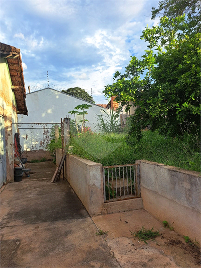 Foto REO1057472