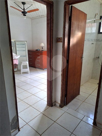 Foto REO1057472