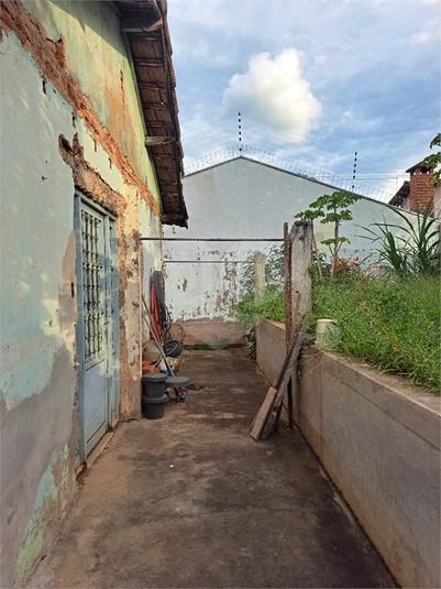 Foto REO1057472