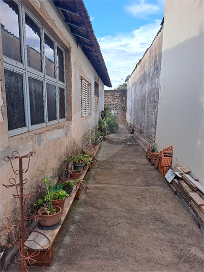 Foto REO1057472