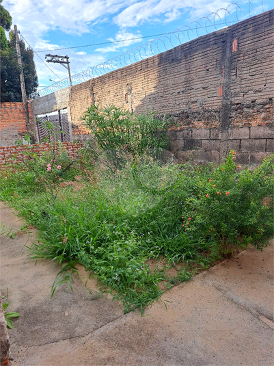 Foto REO1057472