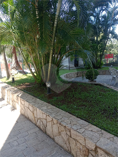 Foto REO1057495