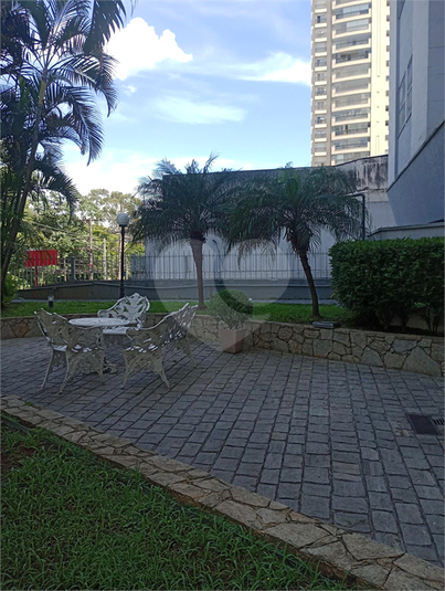 Foto REO1057495