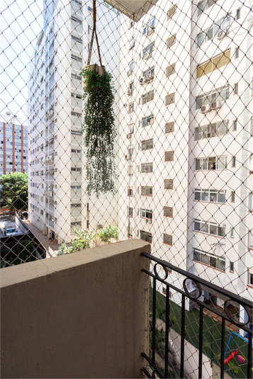 Foto REO1057561