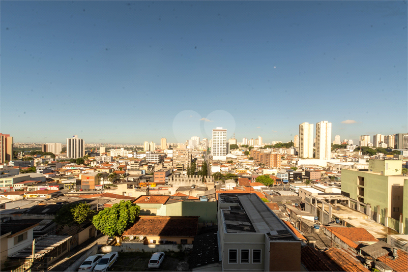 Foto REO1057582