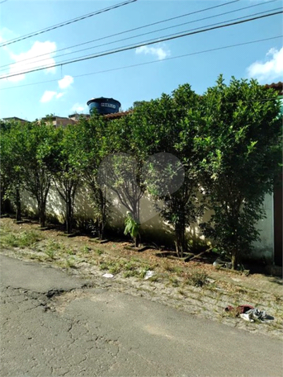 Foto REO1057629