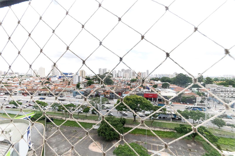 Foto REO1057665