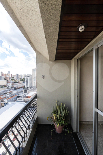Foto REO1057667