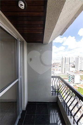 Foto REO1057667