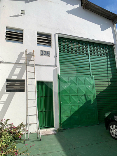 Foto REO105772