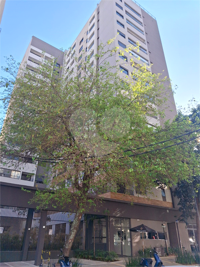 Foto REO1057857