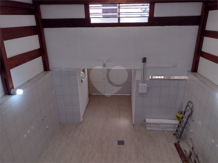 Foto REO1057864