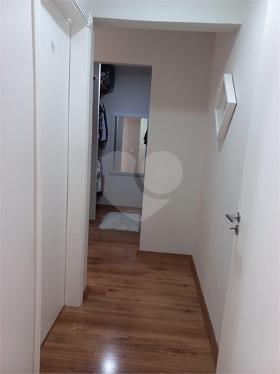 Foto REO1057962