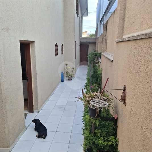 Foto REO1057994