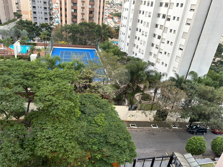 Foto REO1058083