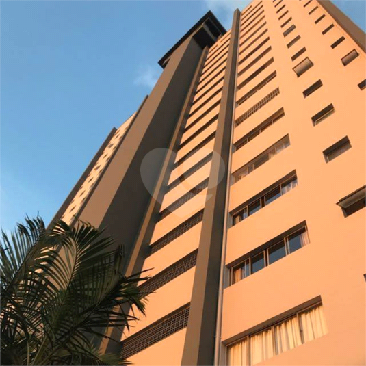 Foto REO1058188