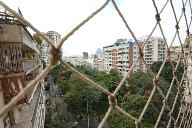 Foto REO1058350