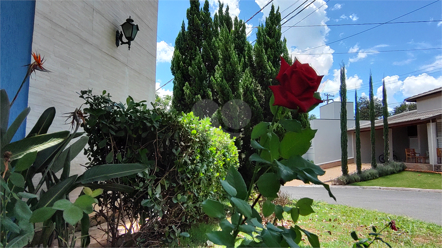 Foto REO1058435