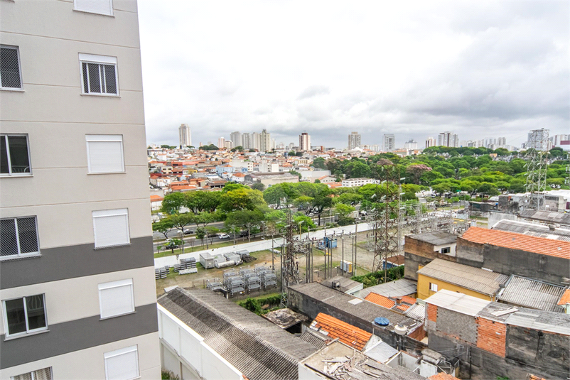Foto REO1058778