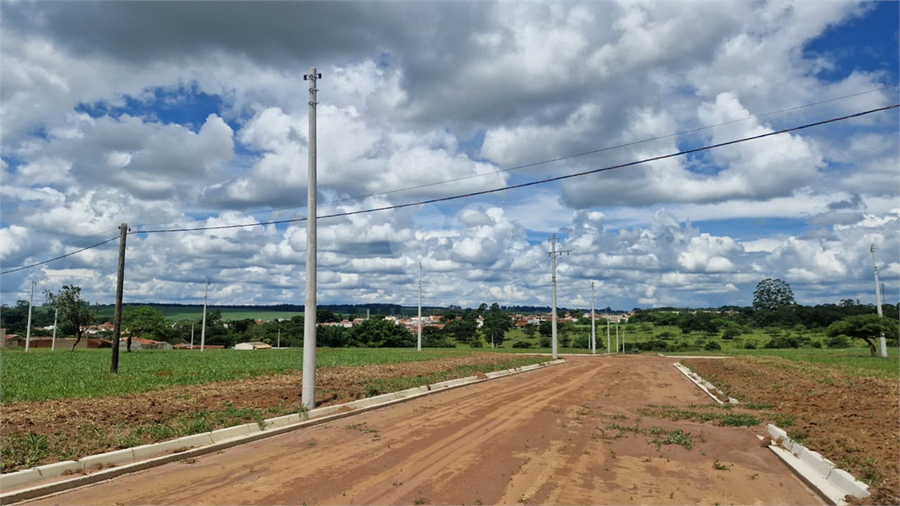 Foto REO1058788
