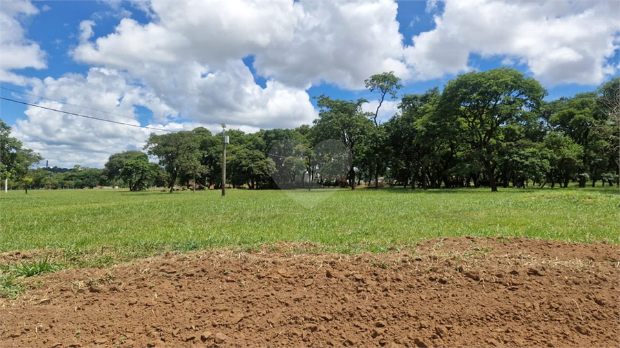 Foto REO1058788