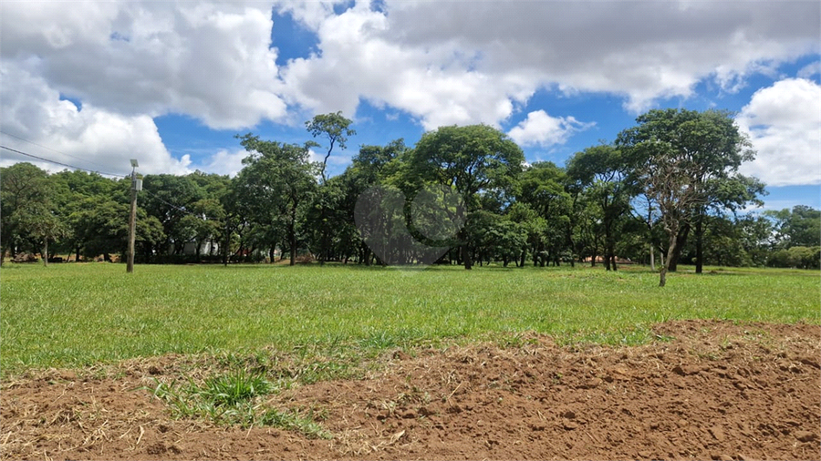 Foto REO1058788