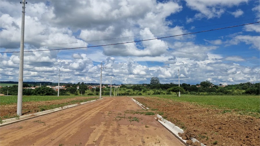 Foto REO1058788