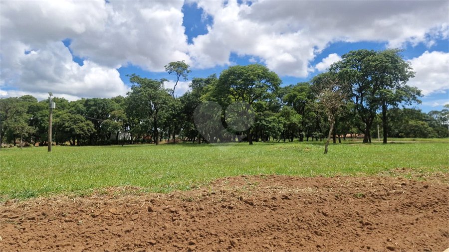 Foto REO1058788