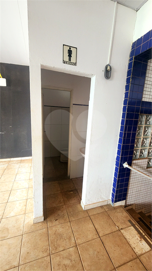 Foto REO1058829