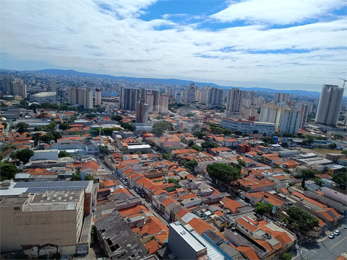 Foto REO1058891