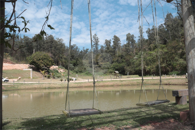 Foto REO1058907